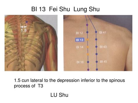 fei shu bien etre|FEI SHU